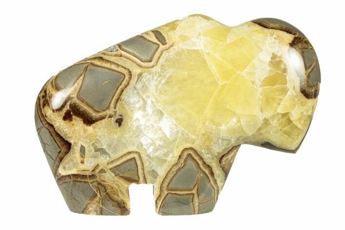 Calcite-Filled Polished Septarian Bison - Utah #264586